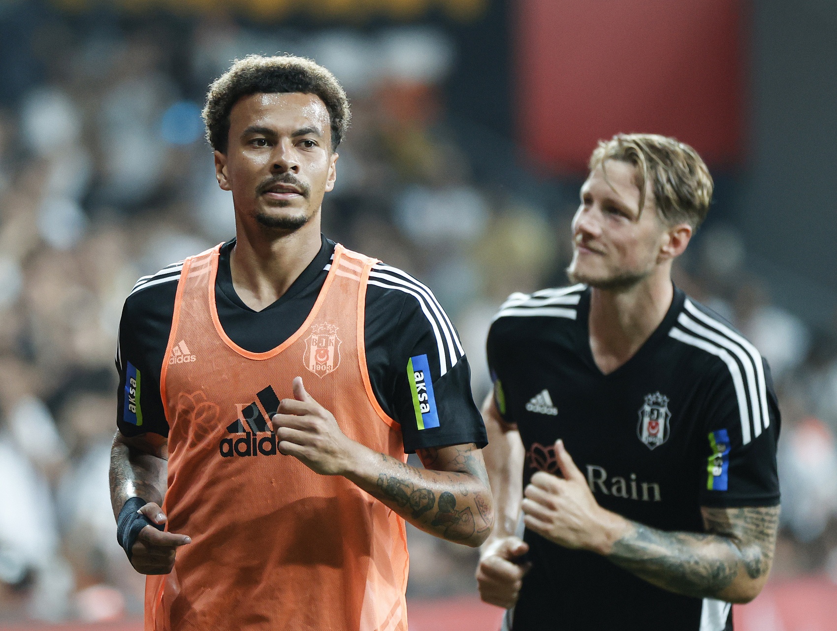 用显而易见 用显而易见